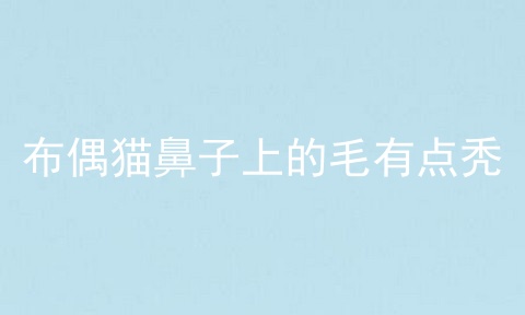 布偶猫鼻子上的毛有点秃