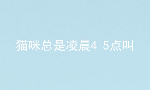猫咪总是凌晨4 5点叫