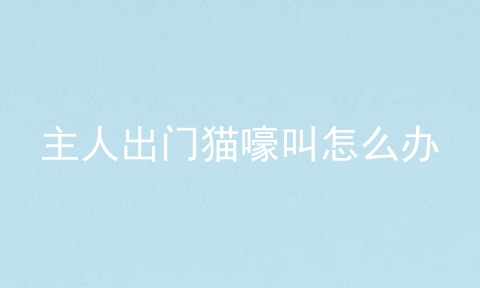 主人出门猫嚎叫怎么办