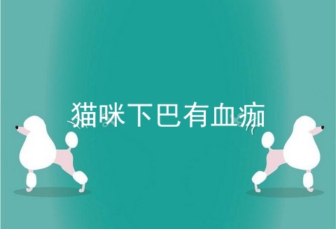 猫咪下巴有血痂