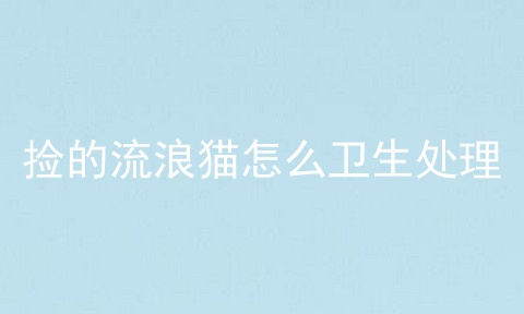 捡的流浪猫怎么卫生处理