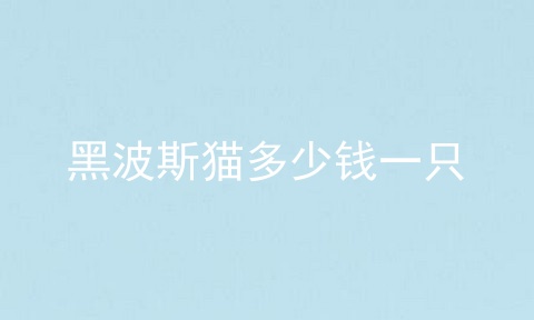 黑波斯猫多少钱一只