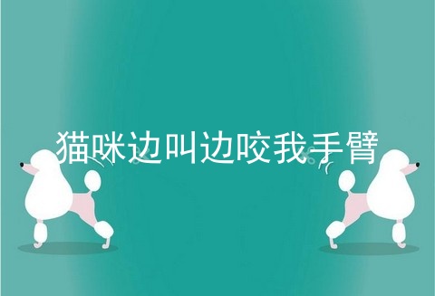 猫咪边叫边咬我手臂