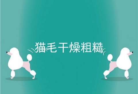 猫毛干燥粗糙