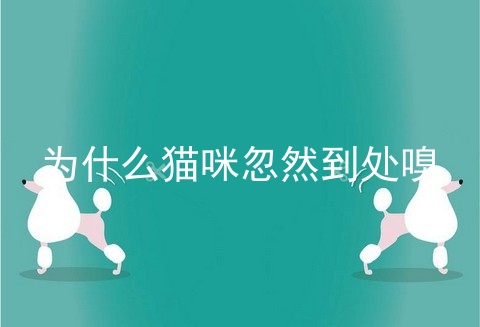 为什么猫咪忽然到处嗅