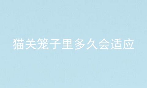 猫关笼子里多久会适应