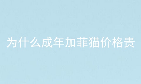 为什么成年加菲猫价格贵