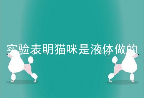 实验表明猫咪是液体做的