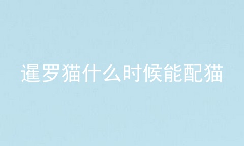 暹罗猫什么时候能配猫