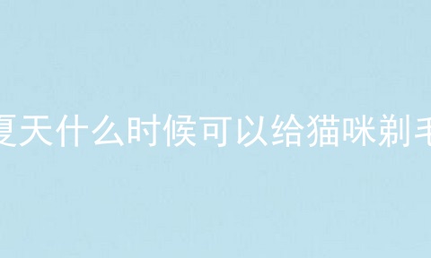 夏天什么时候可以给猫咪剃毛