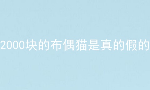 2000块的布偶猫是真的假的