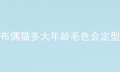 布偶猫多大年龄毛色会定型