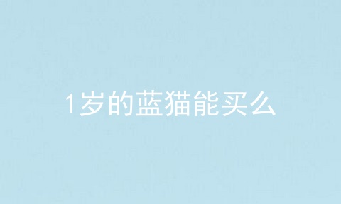 1岁的蓝猫能买么