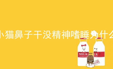 小猫鼻子干没精神嗜睡为什么