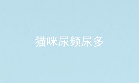 猫咪尿频尿多