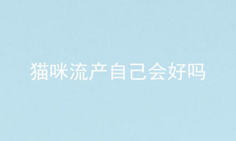 猫咪流产自己会好吗