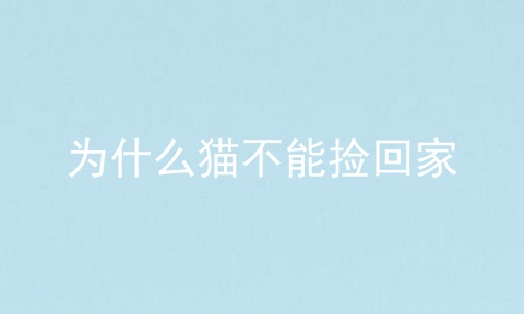 为什么猫不能捡回家