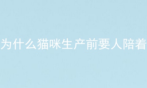 为什么猫咪生产前要人陪着
