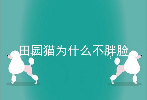 田园猫为什么不胖脸