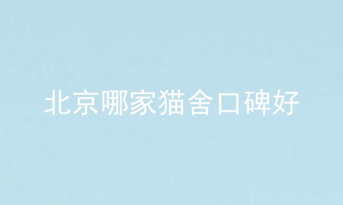 北京哪家猫舍口碑好