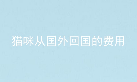 猫咪从国外回国的费用
