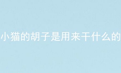 小猫的胡子是用来干什么的