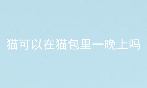 猫可以在猫包里一晚上吗