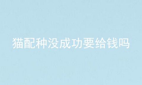 猫配种没成功要给钱吗