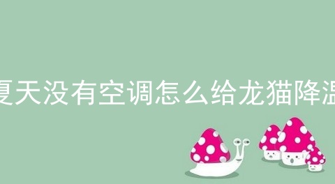 夏天没有空调怎么给龙猫降温