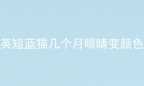 英短蓝猫几个月眼睛变颜色