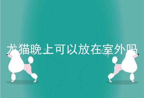 龙猫晚上可以放在室外吗