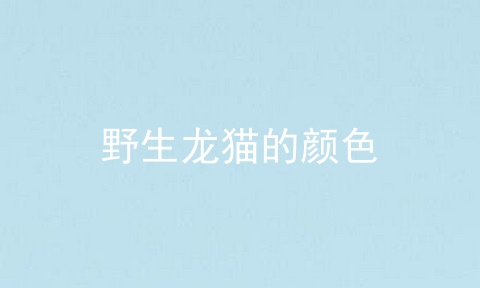 野生龙猫的颜色