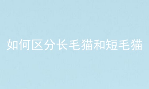 如何区分长毛猫和短毛猫
