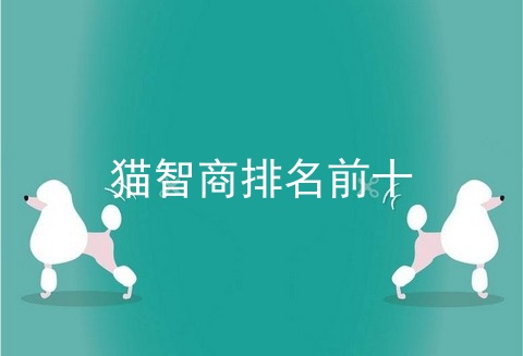 猫智商排名前十