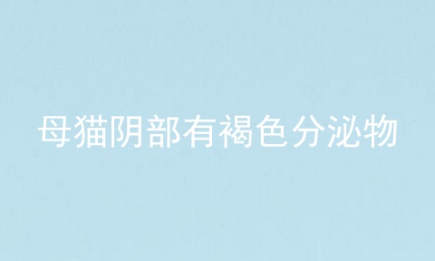 母猫阴部有褐色分泌物