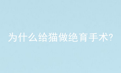 为什么给猫做绝育手术?