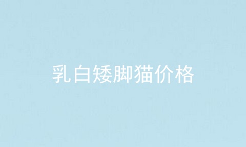 乳白矮脚猫价格