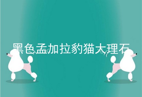 黑色孟加拉豹猫大理石