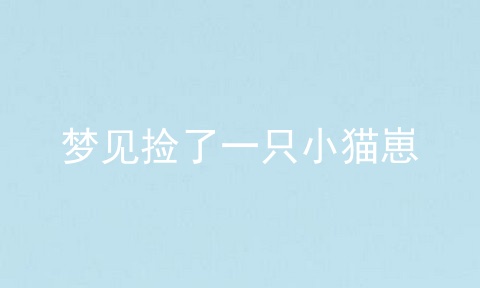 梦见捡了一只小猫崽