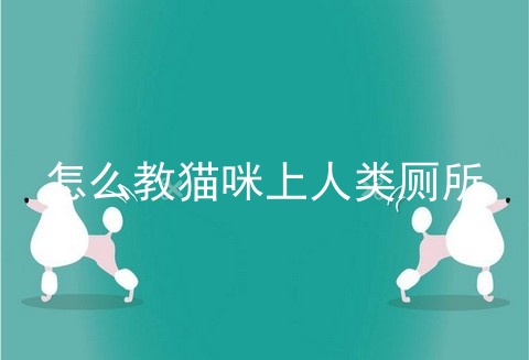 怎么教猫咪上人类厕所