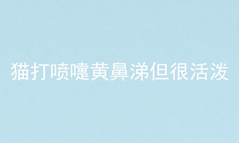 猫打喷嚏黄鼻涕但很活泼