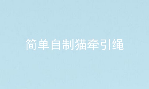 简单自制猫牵引绳