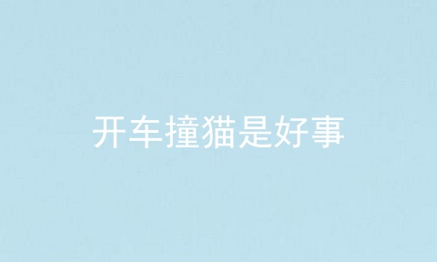 开车撞猫是好事