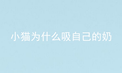 小猫为什么吸自己的奶