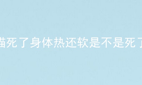 猫死了身体热还软是不是死了