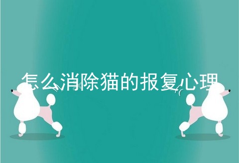 怎么消除猫的报复心理
