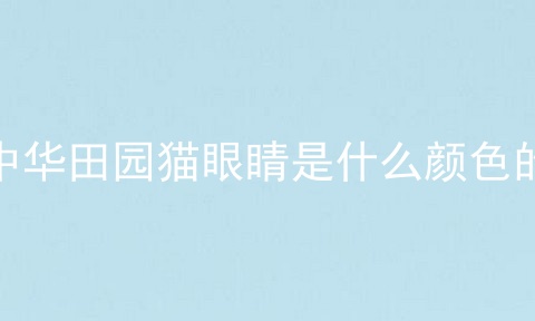 中华田园猫眼睛是什么颜色的
