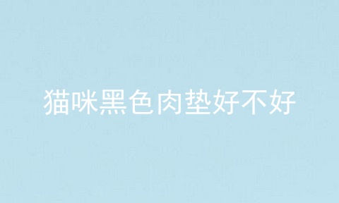 猫咪黑色肉垫好不好