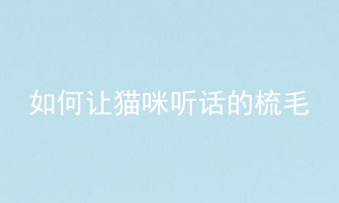 如何让猫咪听话的梳毛