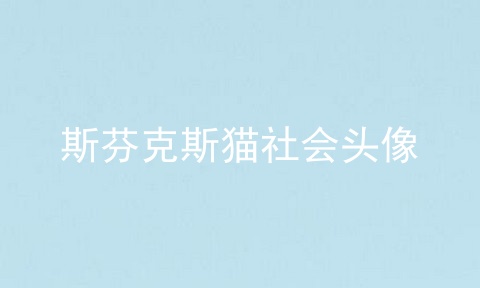 斯芬克斯猫社会头像